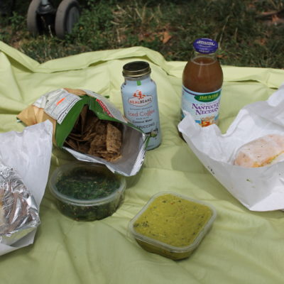 Picnic in Central Park