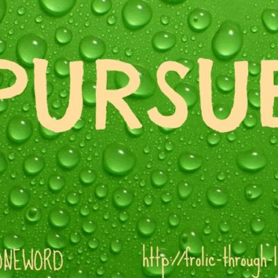 Pursue 2013