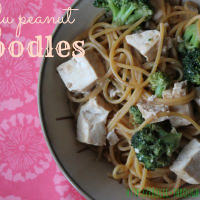 Tofu Peanut Noodles